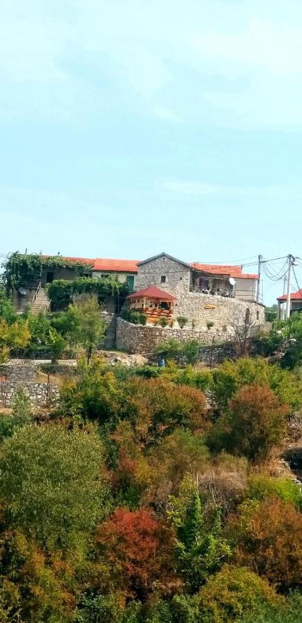 Pavle Vikendica *